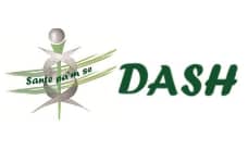 dash
